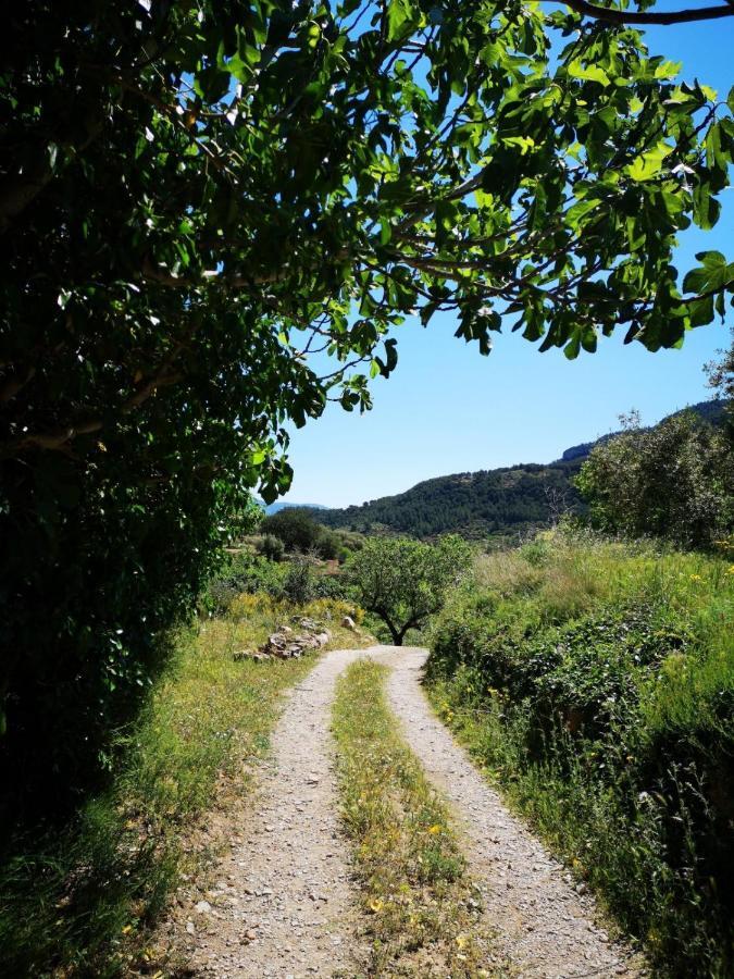 הוילה L'Antic Forn De Pauels מראה חיצוני תמונה